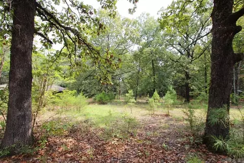 47 Daugherty Hill Rd, Conway, AR 72032 photo 16
