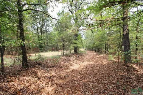 47 Daugherty Hill Rd, Conway, AR 72032 photo 3