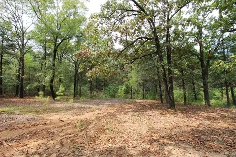 47 Daugherty Hill Rd, Conway, AR 72032 photo 20