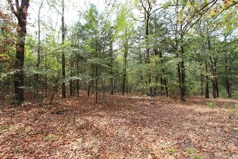 47 Daugherty Hill Rd, Conway, AR 72032 photo 13