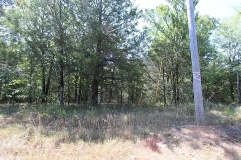 52 Daugherty Hill Rd, Conway, AR 72032 photo 5
