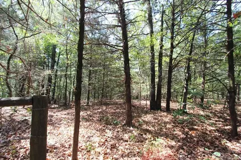 52 Daugherty Hill Rd, Conway, AR 72032 photo 11