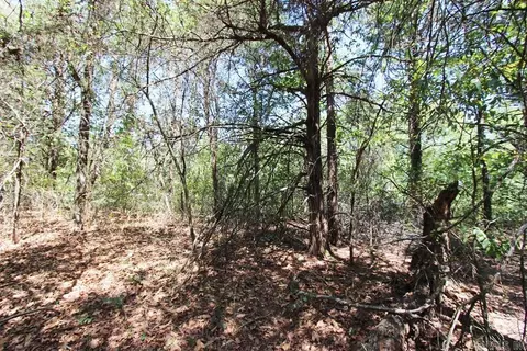 52 Daugherty Hill Rd, Conway, AR 72032 photo 26