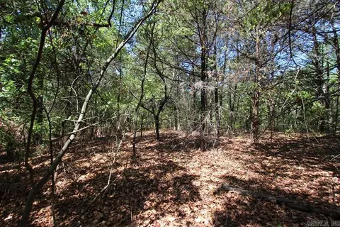 52 Daugherty Hill Rd, Conway, AR 72032 photo 12