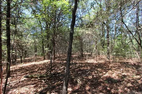 52 Daugherty Hill Rd, Conway, AR 72032 photo 25