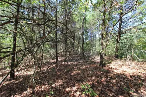 52 Daugherty Hill Rd, Conway, AR 72032 photo 24