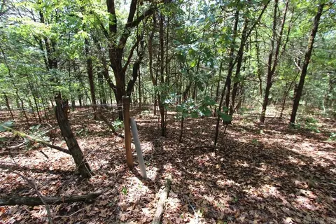 52 Daugherty Hill Rd, Conway, AR 72032 photo 13