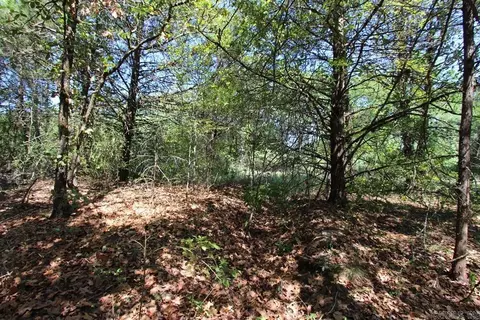 52 Daugherty Hill Rd, Conway, AR 72032 photo 23