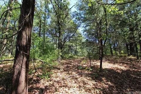 52 Daugherty Hill Rd, Conway, AR 72032 photo 21