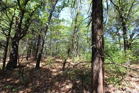 52 Daugherty Hill Rd, Conway, AR 72032 photo 20
