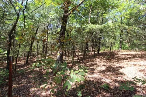 52 Daugherty Hill Rd, Conway, AR 72032 photo 17