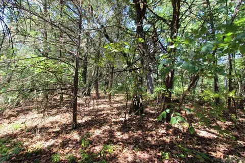 52 Daugherty Hill Rd, Conway, AR 72032 photo 16