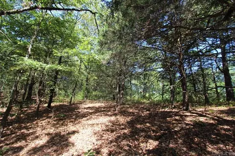 52 Daugherty Hill Rd, Conway, AR 72032 photo 18