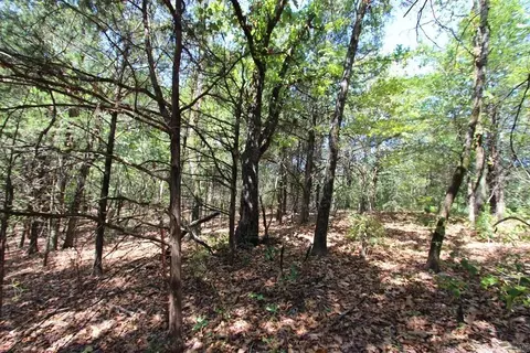 52 Daugherty Hill Rd, Conway, AR 72032 photo 19