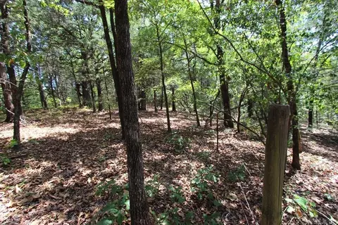 52 Daugherty Hill Rd, Conway, AR 72032 photo 22
