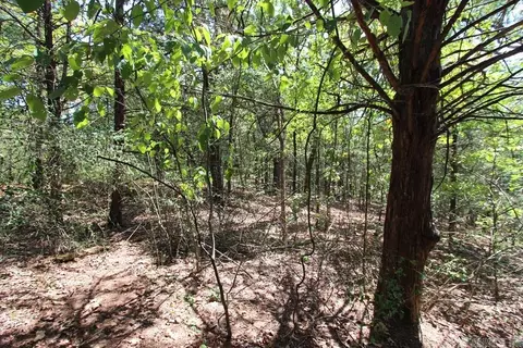 52 Daugherty Hill Rd, Conway, AR 72032 photo 28