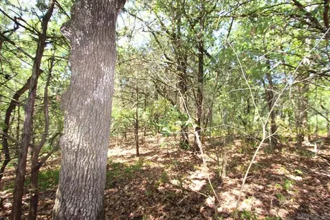 52 Daugherty Hill Rd, Conway, AR 72032 photo 15