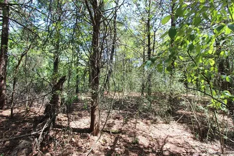 52 Daugherty Hill Rd, Conway, AR 72032 photo 27