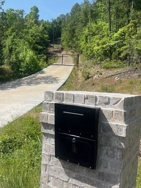 Other - 4 Gray Hawk Dr, Paron, AR 72122 photo 11 of 11