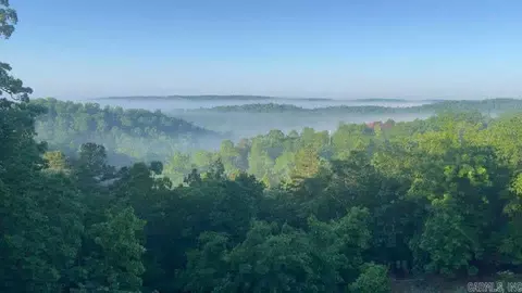 View/Area - 4 Gray Hawk Dr, Paron, AR 72122 photo 1 of 1
