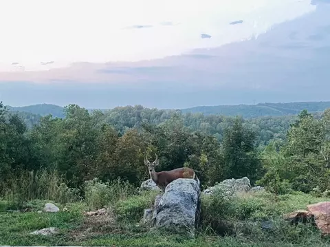 Other - 4 Gray Hawk Dr, Paron, AR 72122 photo 8 of 11