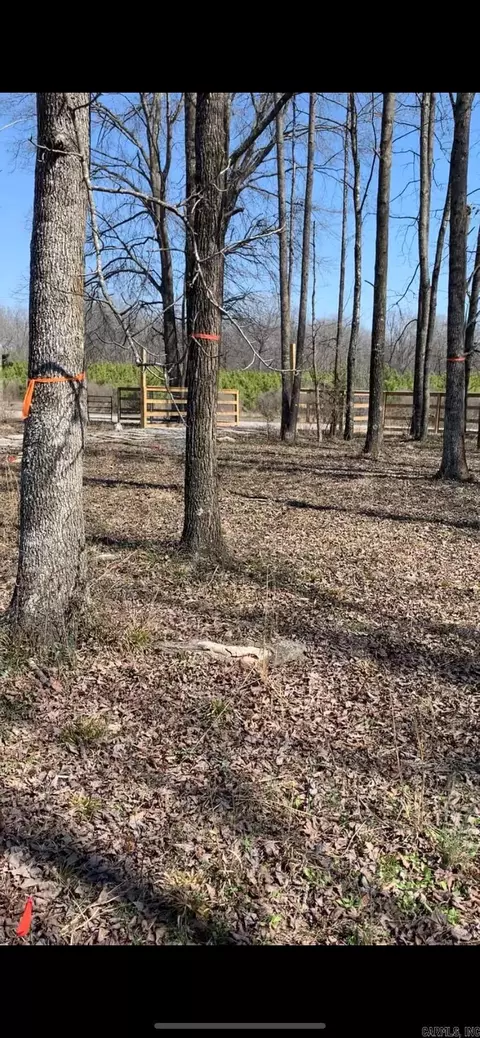 380 Gillham Rd, Beebe, AR 72012 photo 3