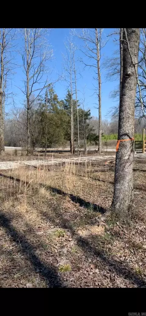 380 Gillham Rd, Beebe, AR 72012 photo 4