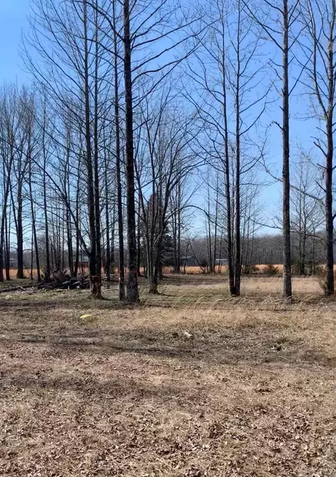 380 Gillham Rd, Beebe, AR 72012 photo 2