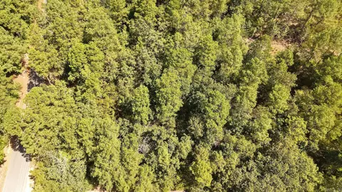 0 Gold Nugget Loop, Hot Springs, AR 71913