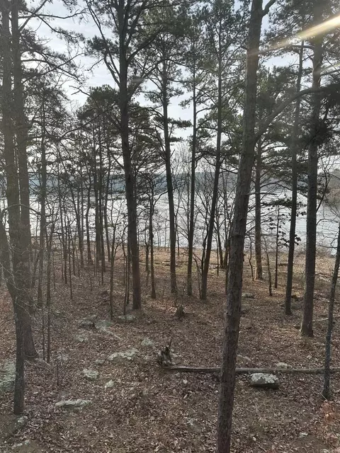 View/Area - 130 Valhalla, Edgemont, AR 72044 photo 4 of 4