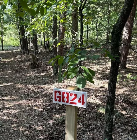 Other - 130 Valhalla, Edgemont, AR 72044 photo 8 of 8