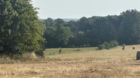 tbd S Corinth Rds, Ash Flat, AR 72513 photo 5