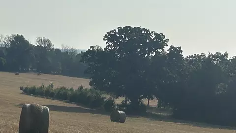tbd S Corinth Rds, Ash Flat, AR 72513 photo 4
