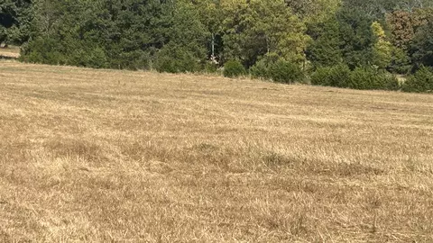 tbd S Corinth Rds, Ash Flat, AR 72513 photo 10