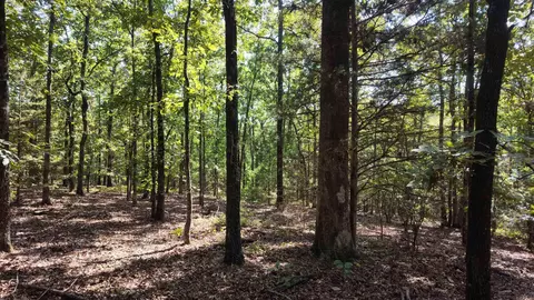 0 Bennett Rd, Bee Branch, AR 72013 photo 3