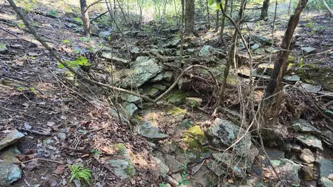 0 Bennett Rd, Bee Branch, AR 72013 photo 11