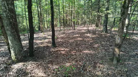 0 Bennett Rd, Bee Branch, AR 72013 photo 13