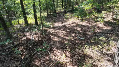0 Bennett Rd, Bee Branch, AR 72013 photo 5
