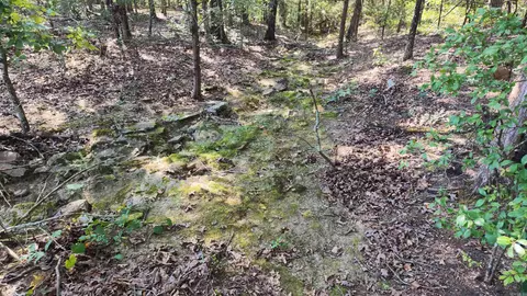 0 Bennett Rd, Bee Branch, AR 72013 photo 4