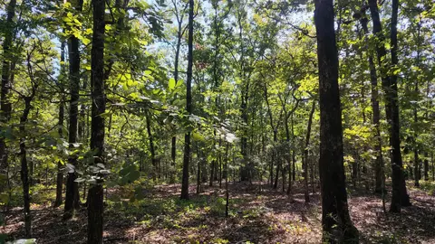 0 Bennett Rd, Bee Branch, AR 72013 photo 7