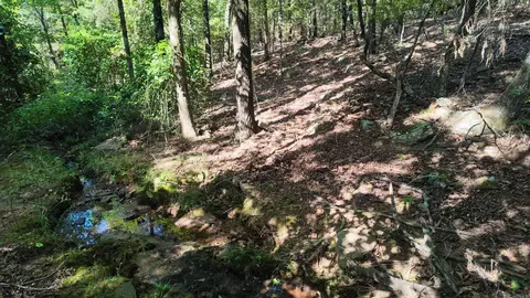 0 Bennett Rd, Bee Branch, AR 72013 photo 16
