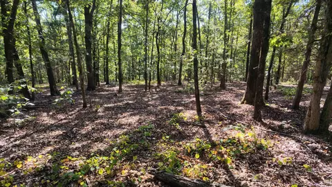 0 Bennett Rd, Bee Branch, AR 72013 photo 17