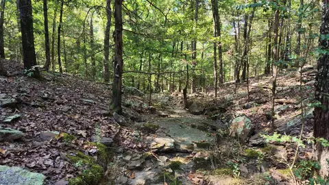 0 Bennett Rd, Bee Branch, AR 72013 photo 10