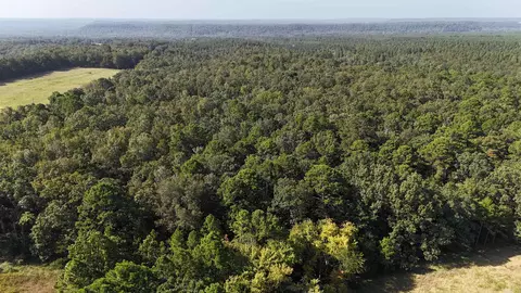 0 Bennett Rd, Bee Branch, AR 72013 photo 21