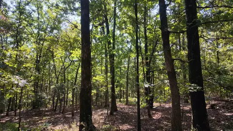 0 Bennett Rd, Bee Branch, AR 72013 photo 6