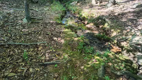 0 Bennett Rd, Bee Branch, AR 72013 photo 15
