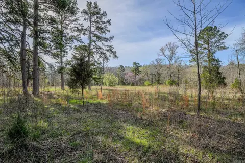 00 Kanis Rd, Paron, AR 72122 photo 11