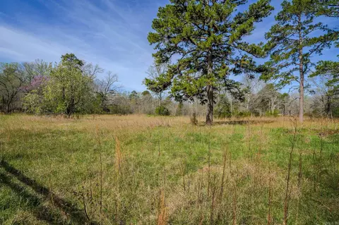 00 Kanis Rd, Paron, AR 72122 photo 12