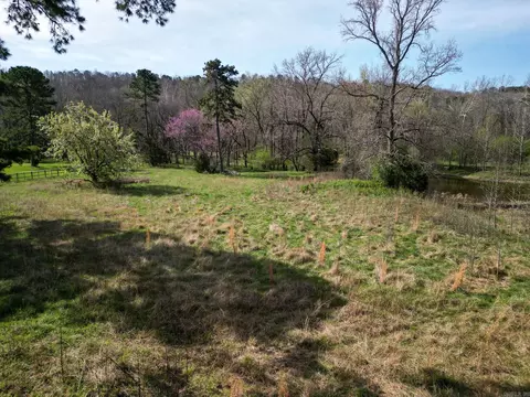 00 Kanis Rd, Paron, AR 72122 photo 5