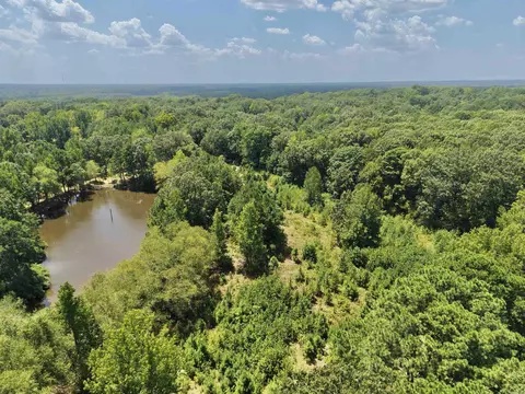 View/Area - 2301 Bennett, Benton, AR 72015 photo 5 of 6